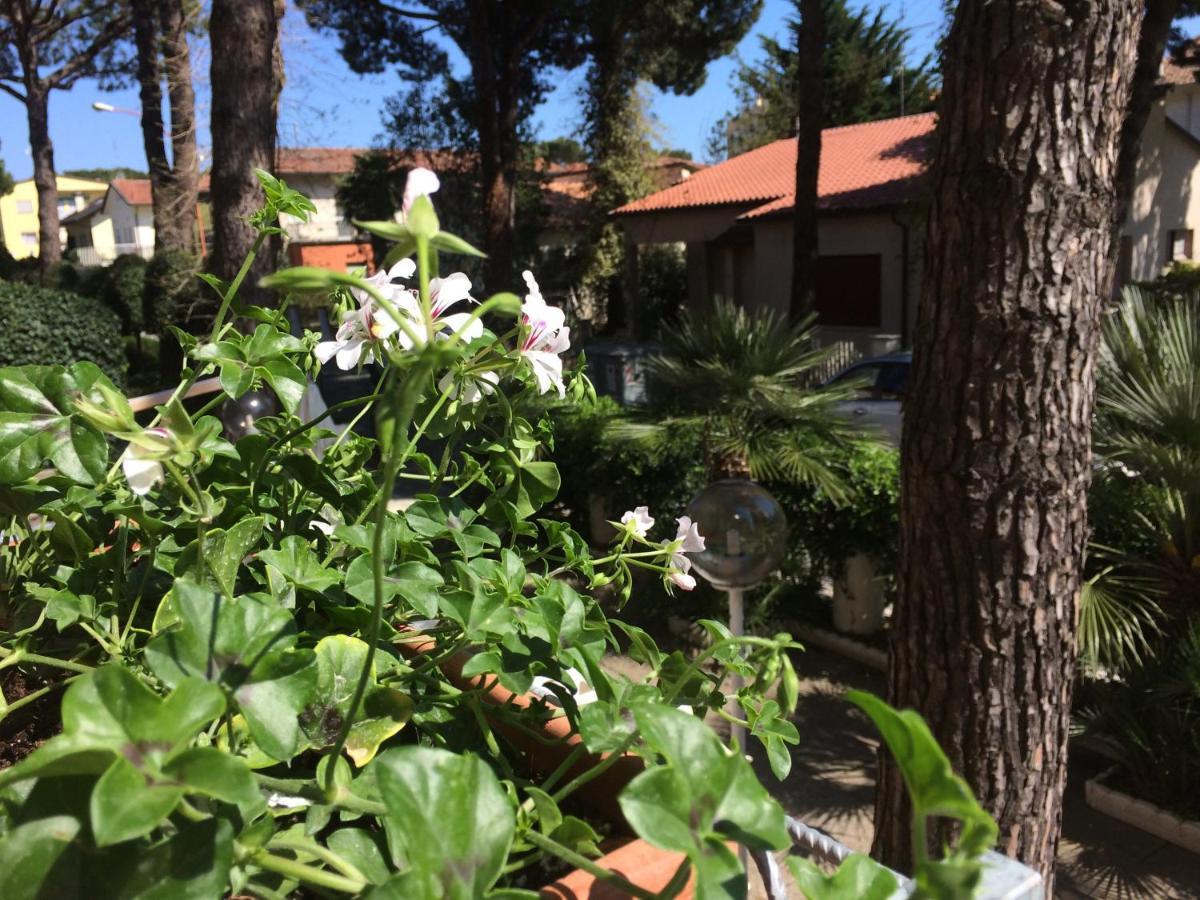 Alice Hotel Cervia Exterior photo